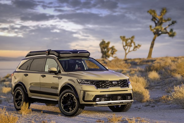 Sorento Zion Edition